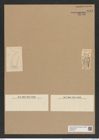 Hemiaulus hungaricus Pant. (de-Toni-Nr.: Genus 117, Species 3395) Zeichnungen Sammlung Grunow Nr. 6824 (NHMW-BOT-W0375673)
